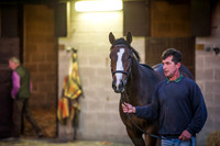Goffs Orby 2015 -16