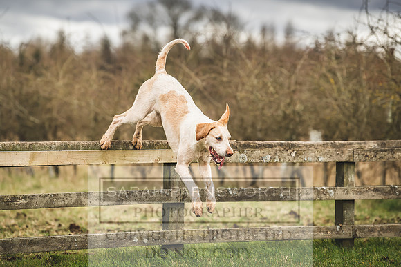 Thurlow at Heythrop 130319-450
