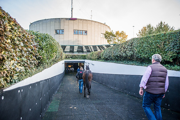 Goffs Orby 2015 -422