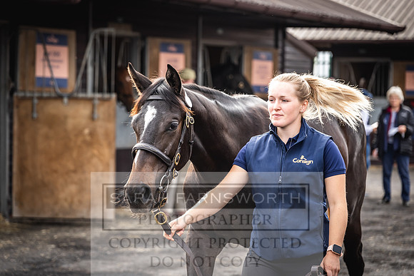Goffs UK PY24-350