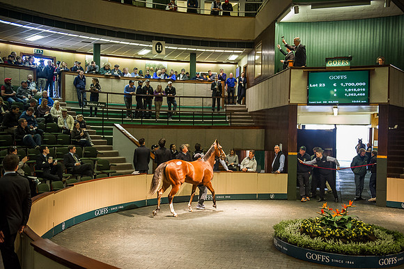 Goffs Orby 2015 -256