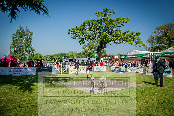 Ardingly Foxhounds 2015-18