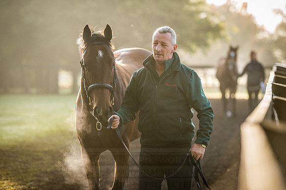 Goffs Orby 2015 -466