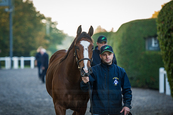 Goffs Orby 2015 -114