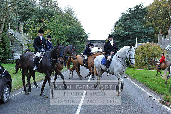 Brocklesby 021113 CF2 220