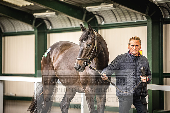 Goffs Land Rover Sale 2022-415