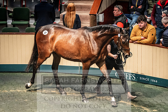 Goffs Land Rover Sale 2022-211