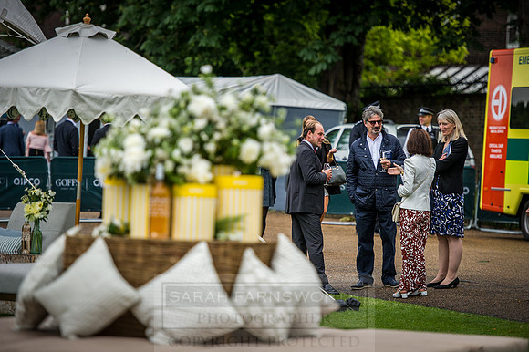 Goffs London Sale 2016-110