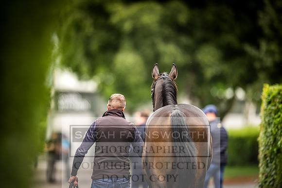 Goffs Land Rover Sale 2022-493