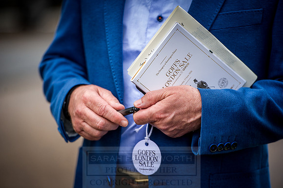Goffs London Sale 2016-139