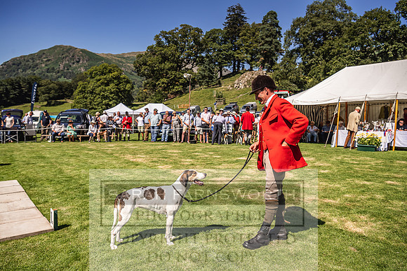 Rydal Hound Show 2022-109