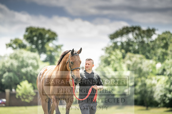 Goffs London Sale 2019-19