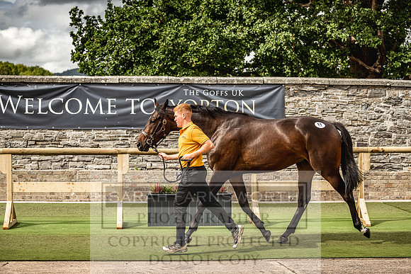 Goffs Yorton Sale 2022-185