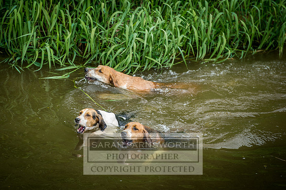 Desmond 060616-83