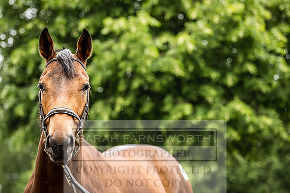 Goffs Land Rover Sale 2022-479