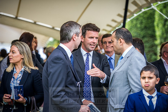 Goffs London Sale 2016-281