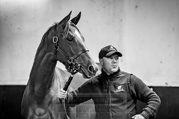 Goffs Orby 2018 Day 1-429