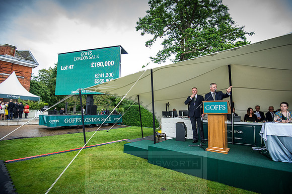 Goffs London Sale 2016-498