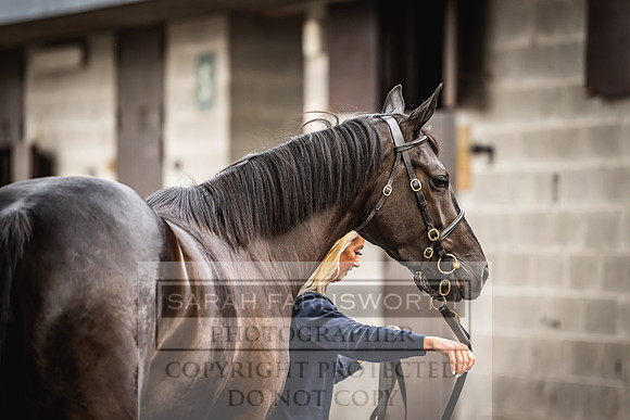 Goffs Land Rover Sale 2022-384