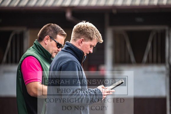 Goffs UK PY24-291