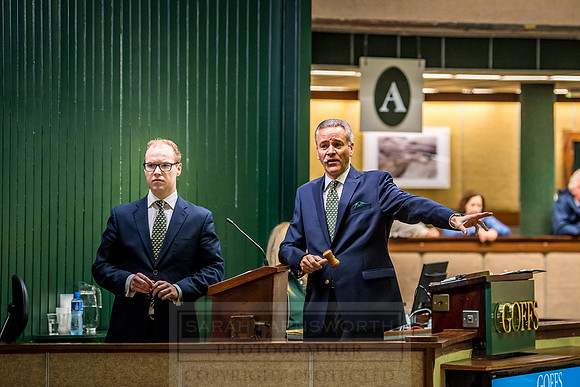 Goffs Orby 2018 Day 2-82