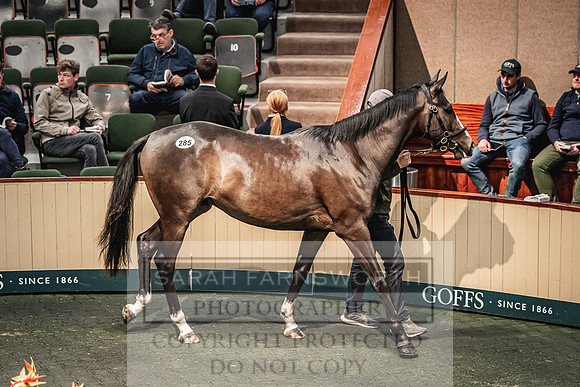 Goffs Land Rover Sale 2022-606