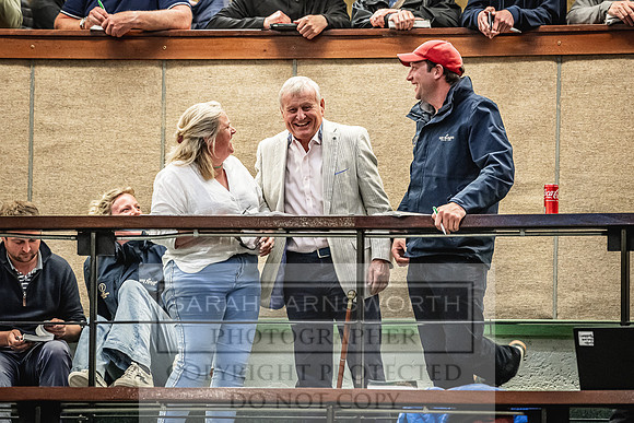 Goffs Land Rover Sale 2022-454