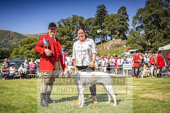 Rydal Hound Show 2022-132