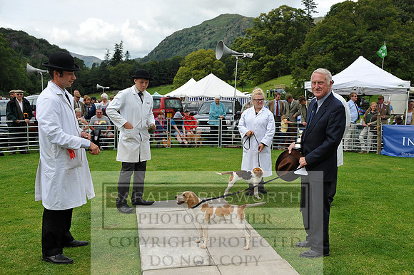 Rydal 2014 CF1 359