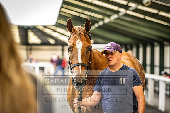 Goffs Land Rover Sale 2022-176