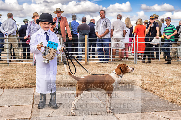 Honiton Hound Show 2022-59