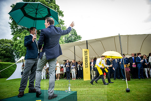 Goffs London Sale 2016-243