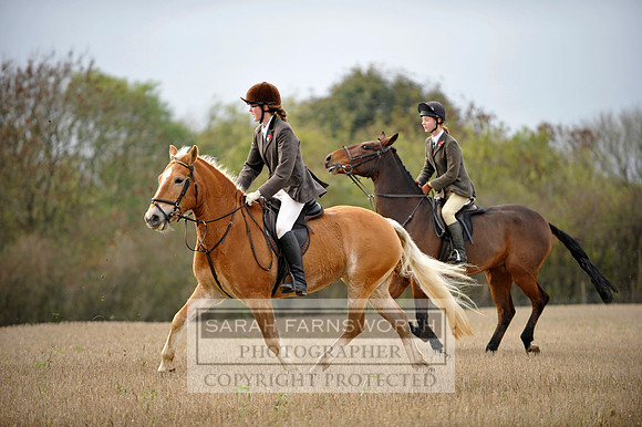 Brocklesby 021113 CF3 780