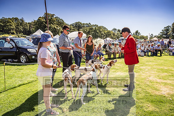 Rydal Hound Show 2022-39