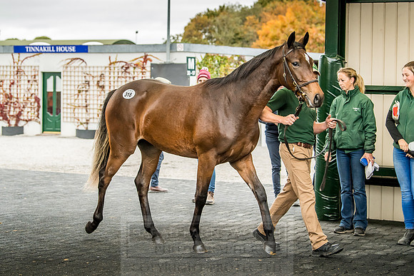 Goffs Orby 2018 Day 2-142