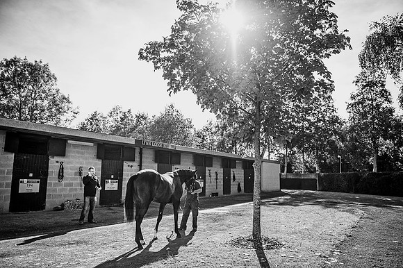 Goffs Orby 2015 -389 bw