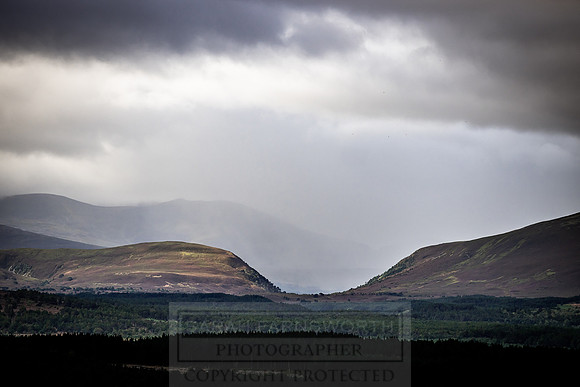 Cairngorms in summer-3