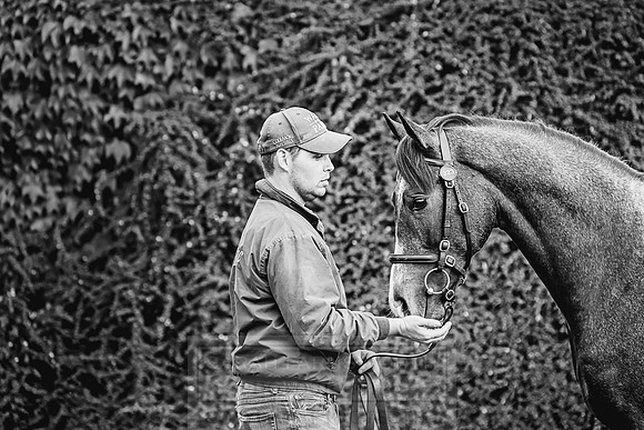 Goffs Orby 2018 Day 2-31