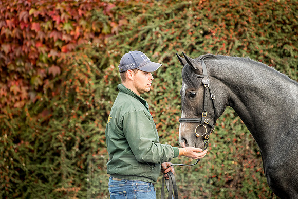 Goffs Orby 2018 Day 2-32
