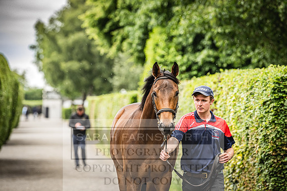 Goffs Land Rover Sale 2022-461