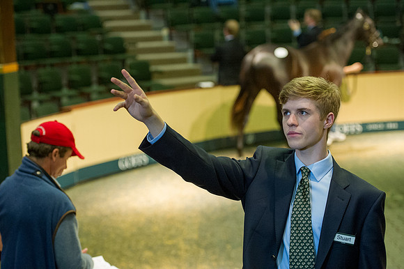 Goffs Orby14 CF7 561