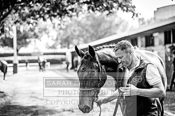 Goffs Land Rover Sale 2022-96