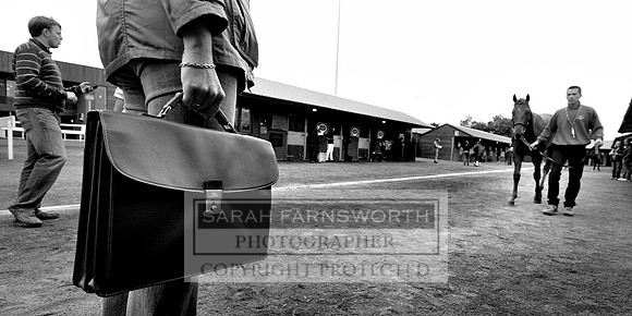 DBS 310811 037 bw