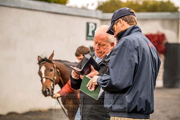 Goffs Orby 2018 Day 1-37
