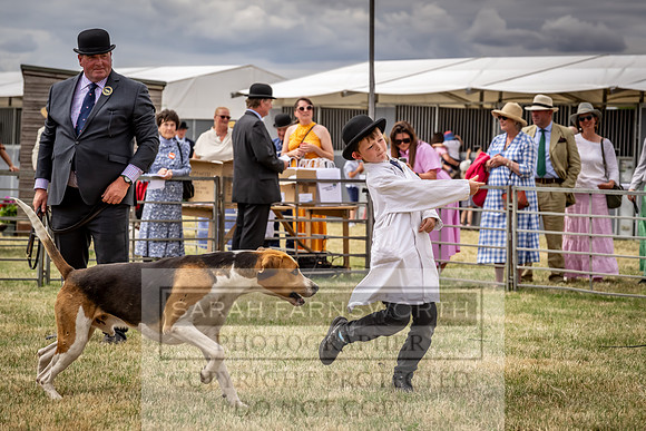 PFoH 2025-182