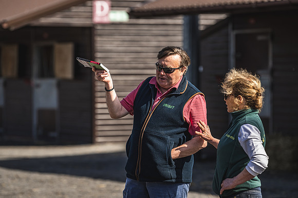 Goffs UK Spring Sale 22 Day 2-7