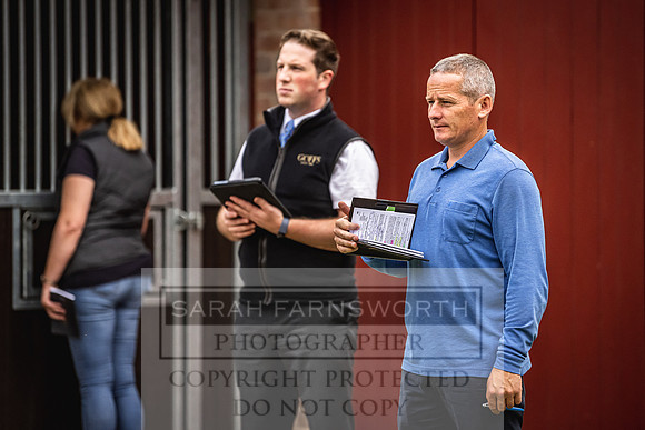 Goffs Yorton Sale 2022-67