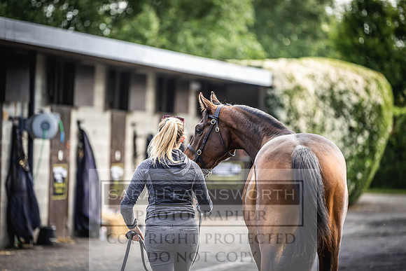 Goffs Land Rover Sale 2022-167