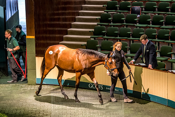 Goffs Orby 2018 Day 1-139