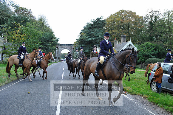 Brocklesby 021113 CF2 229